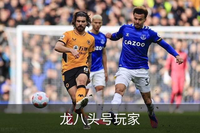 龙八头号玩家品牌展示图