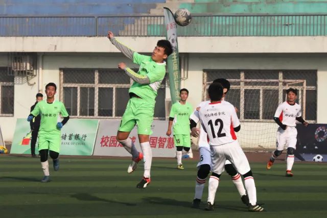 龙八头号玩家首页焦点内容展示
